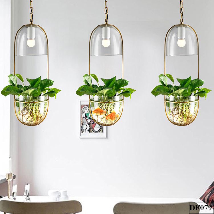 Đèn thả trồng cây thuỷ tinh Pebble DF079