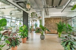 Kết hợp đèn thả văn phòng với cây xanh và nội thất – Tạo không gian làm việc Biophilic hiện đại
