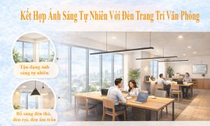 https://dentrungson.com/cach-het-hop-anh-sang-tu-nhien-va-den-trang-tri-van-phong/